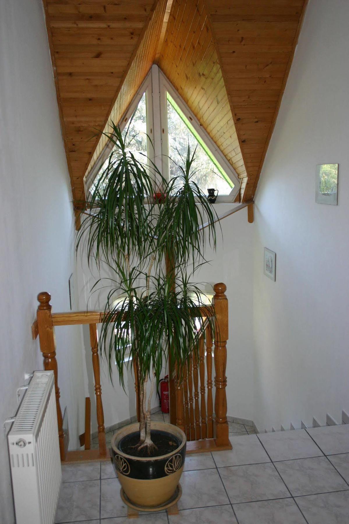 Lorelei Pension Adults Only Gyenesdiás Екстериор снимка