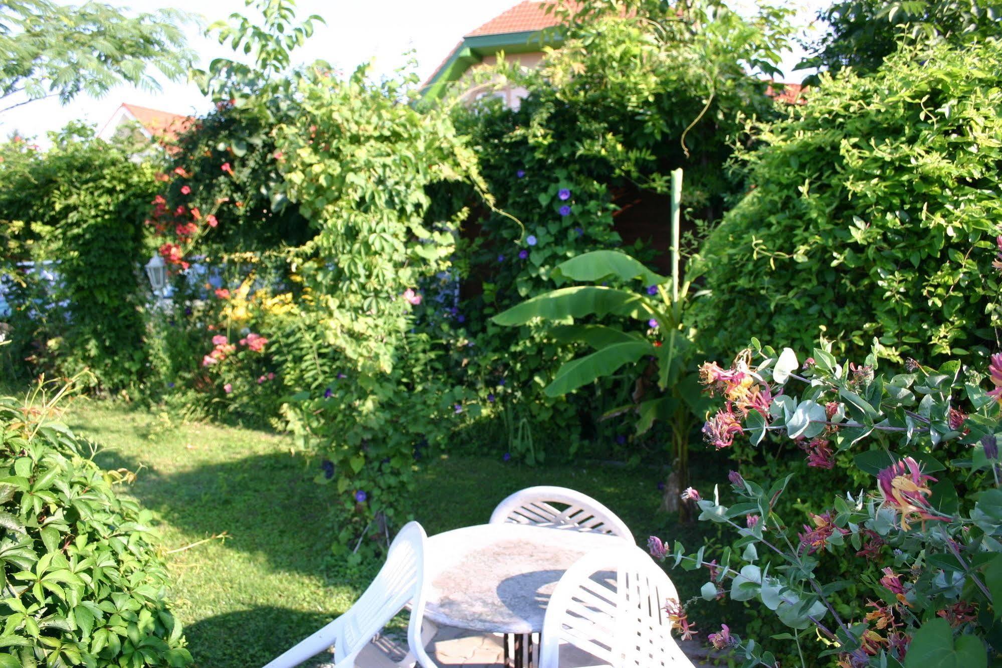 Lorelei Pension Adults Only Gyenesdiás Екстериор снимка